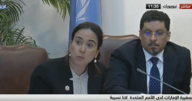 سفيرة الإمارات بالأمم المتحدة: وصول 30 سفينة مساعدات لميناء الحديدة (فيديو)