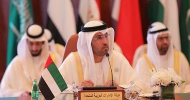 سلطان الجابر: هدفنا دعم الشعب اليمنى والشرعية