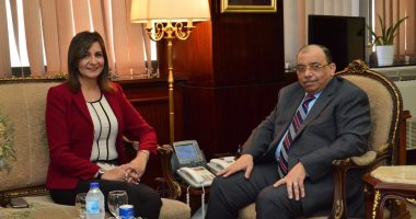 وزيرا الهجرة والتنمية المحلية يبحثان مشكلة إجازات المصريين بالخارج