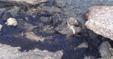 البيئة: مكافحة تلوث زيتى بشاطئ معهد علوم البحار بالسويس