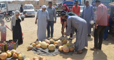 صور.. رئاسة مركز الخارجة تنفذ حملات إزالة إشغالات بأحياء المدينة