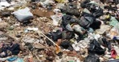 شكوى من انتشار القمامة بشوارع مدينة الزقازيق