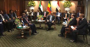 اجتماع للصندوق المشترك بين مصر والسودان وإثيوبيا الأسبوع المقبل بالقاهرة