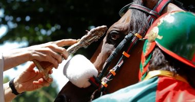 صورة.. قس كاثوليكى يبارك أحد الخيول قبل سباق فى إيطاليا