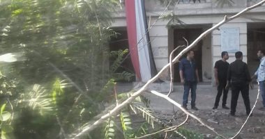 سقوط شجرة ضخمة داخل جامعة بنها دون إصابات