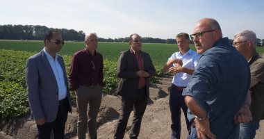 صور.. "الزراعة": الاتفاق مع هولندا على منظومة جديدة لاستيراد تقاوى البطاطس