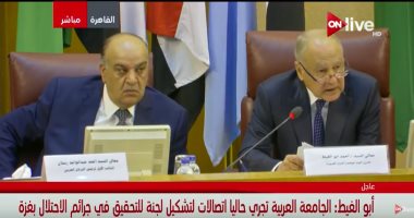 أبو الغيط: الجامعة العربية تبحث تشكيل لجنة للتحقيق فى جرائم الاحتلال بغزة
