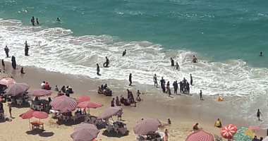 ØµÙØ±.. Ø¥ÙØ¨Ø§Ù Ø¹ÙÙ Ø´ÙØ§Ø·Ø¦ Ø§ÙØ¥Ø³ÙÙØ¯Ø±ÙØ© Ø±ØºÙ Ø§Ø±ØªÙØ§Ø¹ Ø§ÙØ£ÙÙØ§Ø¬..ÙØªØ®ØµÙØµ ÙØ³Ø¹Ù ÙÙÙ Ø´Ø§Ø·Ø¦