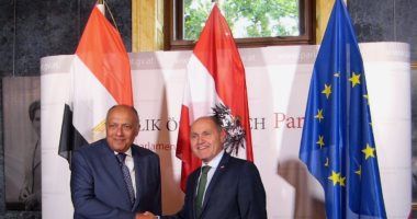 صور.. وزير الخارجية يبحث مع رئيس البرلمان النمساوى تعزيز أطر التعاون