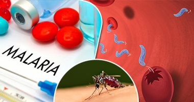 اكتشاف نوع نادر من فصيلة الدم يساعد فى الوقاية من الملاريا