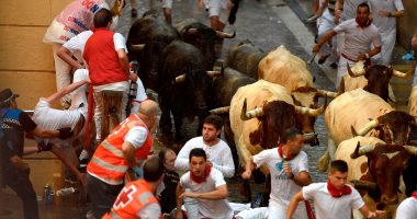 صور.. استمرار فعاليات مصارعة الثيران فى إسبانيا