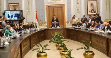 النائب على بدر: برنامج الحكومة يحقق أحلام المصريين وننتظر تنفيذه على أرض الواقع