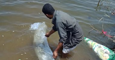 محافظ القليوبية: إنزال الدفعة الخامسة من زريعة الأسماك فى بحيرة عرب العليقات