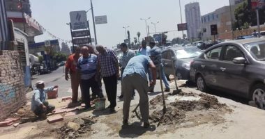 محافظ الجيزة ورئيس حى العجوزة يتفقدان أعمال تطوير شارع التحرير