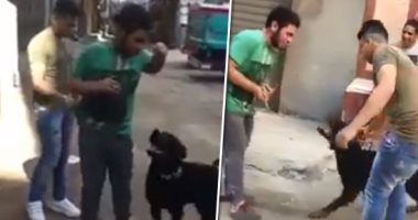 فيديو.. شاب يروع المواطنين فى شارع العشرين وكلبه يعقر أحد المارة