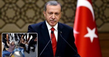 تواصل الإدانات الدولية لقمع حرية الصحافة فى تركيا