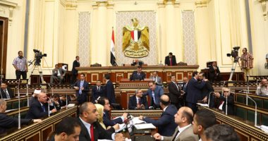رئيس دفاع البرلمان: "اللى معاه أموال الدنيا ومصر مش عاوزاه.. مش هياخد الجنسية"