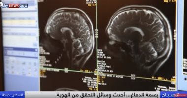 فيديو.. دراسة سويسرية تؤكد بصمة الدماغ أحدث وسائل التحقق من الهوية