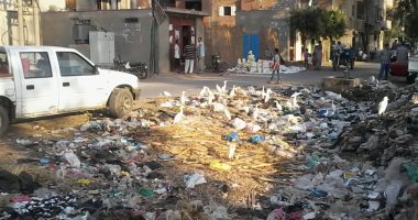 صور.. اضبط مخالفة.. قرية كفر عسكر بالغربية تعانى من الإهمال وانتشار القمامة