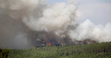 بلجيكا تعلن مصرع أحد مواطنيها جراء حرائق الغابات باليونان 