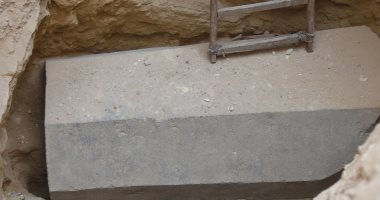 فيديو وصور.. محافظ الإسكندرية: حتى الآن لم يتم فتح التابوت الأثرى.. والاثار تشكل لجنة لفحصه