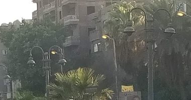 قارئ يرصد إضاءة أعمدة الكهرباء نهارا فى البيطاش بالإسكندرية