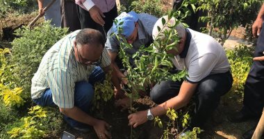 صور.. نقابة الزراعيين تبدأ فى تنفيذ مبادرة الرئيس لزراعة مليون شجرة مثمرة