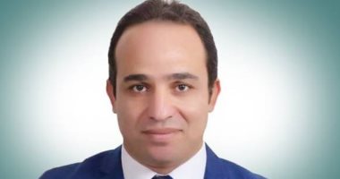 النائب محمد إسماعيل يطالب تحويل شبكات الكهرباء المعلقة لأرضية