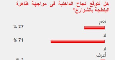 %71من القراء يستبعدون نجاح خطة الداخلية فى التصدى للبلطجة بالشوارع