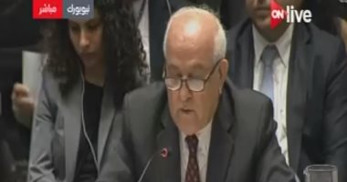 مندوب فلسطين بمجلس الأمن: متى ينفد صبر العالم تجاه جرائم الاحتلال.. فيديو