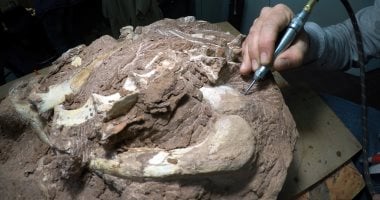 اكتشاف آثار أقدام ديناصورات فى الصين