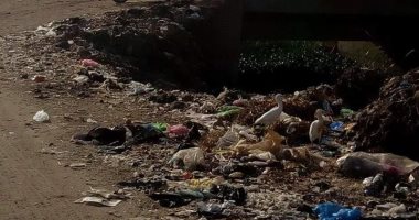 صور.. شكوى من تراكم القمامة بمدخل قرية أبو شميس بالشرقية