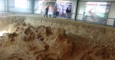 صور.. اكتشاف حفريات ديناصور طويل العنق شمال غرب الصين