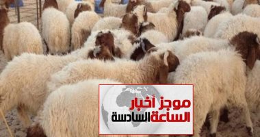 موجز أخبار الـ6.. محافظة القاهرة تحذر من ذبح الأضاحى بالشوارع: غرامة 5 آلاف جنيه
