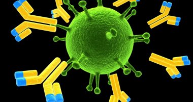 دراسة: مرضى الفيروس التاجى يمتلكون أجساما مضادة لمدة شهرين بعد التعافى