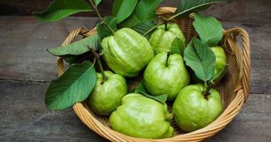 دلع جسمك بـ"ورق الجوافة".. يعالج اضطرابات الجهاز الهضمى ويحارب الدهون