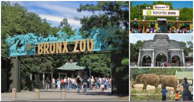 شاهد أجمل 5 حدائق حيوانات فى العالم وتعرف على أسعار تذاكرها
