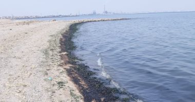 البيئة تبحث حلول لمكافحة تلوث زيتى بشاطئ معهد علوم البحار بالسويس
