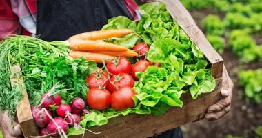 أسعار الخضروات اليوم السبت 19-1-2019 والبطاطس 5.5 بالجملة