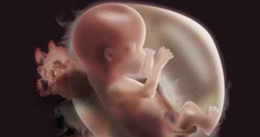 هل يمكن معرفة نوع الجنين دون الذهاب للطبيب؟.. 5 مؤشرات على الحمل فى "ولد"
