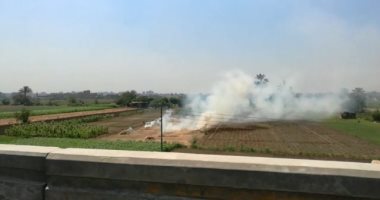 مسلسل حرق قش الأرز نهارا مستمر بالغربية رغم تحرير 141محضرا للمزارعين