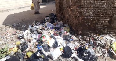 صور.. شكوى من تراكم القمامة أمام مدرسة محمود خاطر بعين شمس