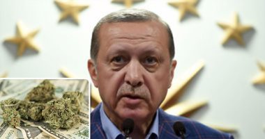 أردوغان يلمح لاستعداد بلاده استخدام العملة المحلية في التجارة مع 3 دول