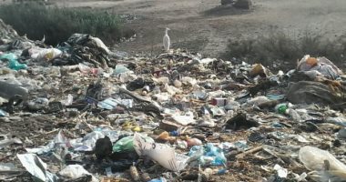 صور.."أبيج" بالغربية تعانى من الصرف المتهالك والبلاعات المكشوفة والقمامة