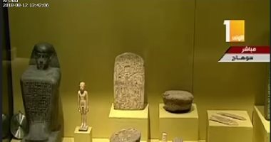 فيديو.. إلهام صلاح الدين: 90% من معروضات متحف سوهاج مستخرجة من المحافظة