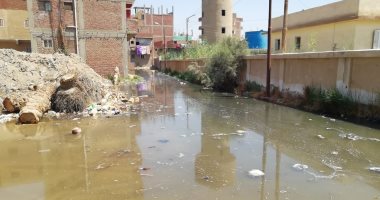 صور.. قرية أبو سلطان بالإسماعيلية تغرق فى "برك" الصرف الصحى