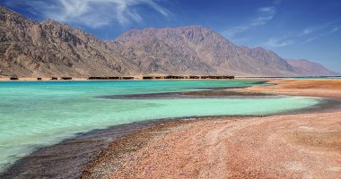 هيئة تنشيط السياحة تروج لمحمية "أبوجالوم" بجنوب سيناء عبر تويتر