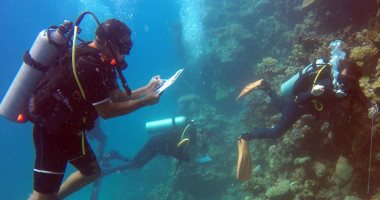 البيئة: تجهيز مواقع الغوص بمحميات جنوب سيناء لحماية الشعاب المرجانية