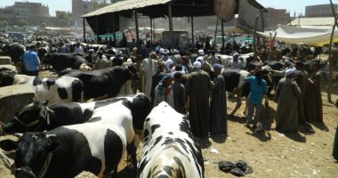 معهد صحة الحيوان ينظم دورة تدريبية حول تقنيات تشخيص الأمراض الفيروسية