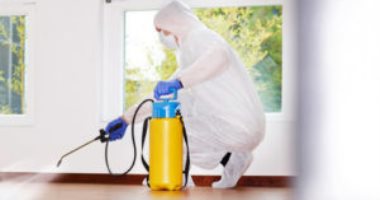 فيديو معلوماتى.. كيف تقى نفسك من خطر رش المبيدات الحشرية بالمنازل؟